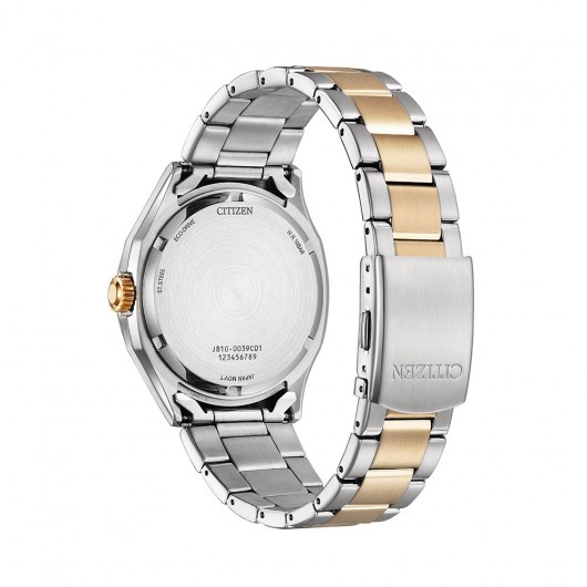 Citizen Eco Drive AW1756-89A