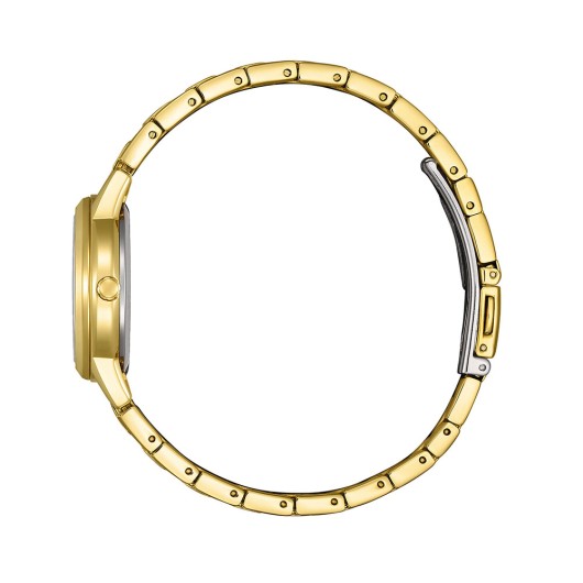 Citizen Eco Drive FE1242-78D